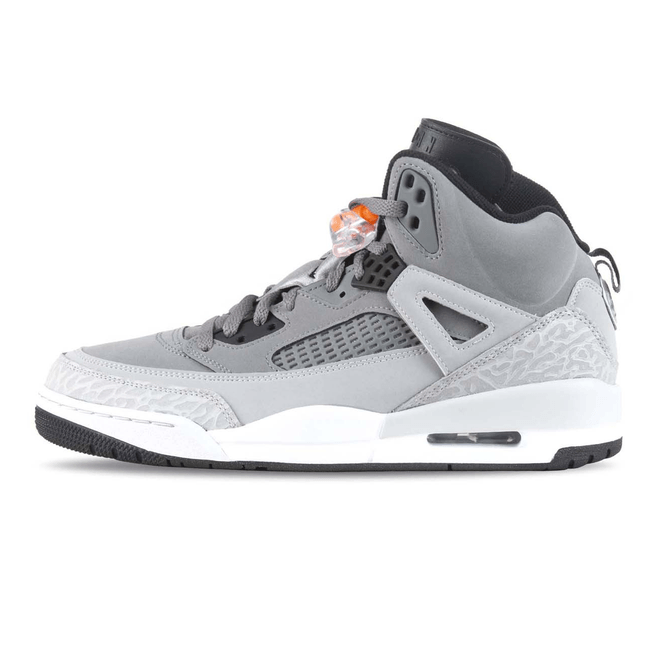 Nike Air Jordan Spizike Cool Grey / Black / Wolf Grey / Pure Platinum 315317-008