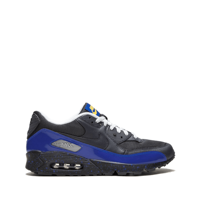 Nike Air Max 90 Leather low top 302519-903
