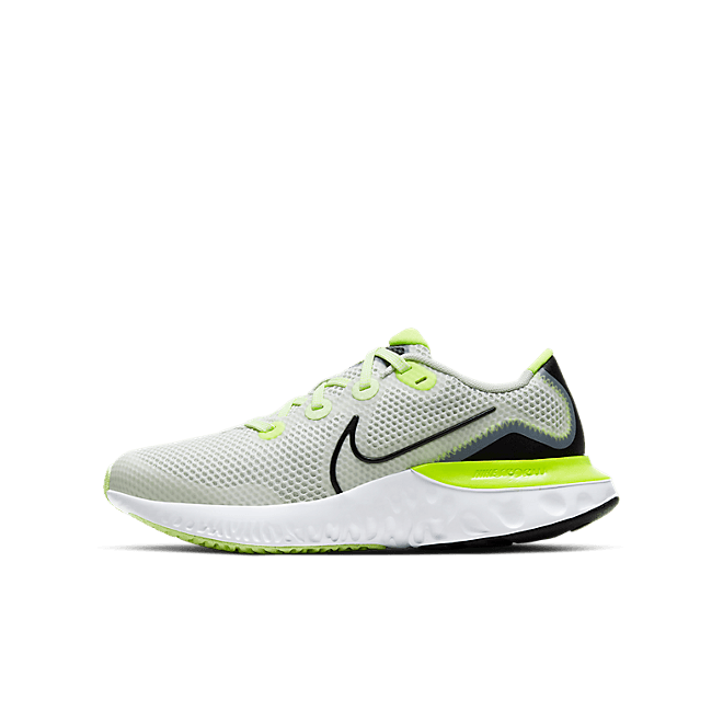 Nike Renew Run Spruce Aura (GS) CT1430-003