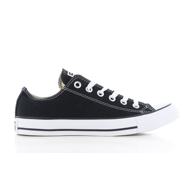 Converse All Star Low OX /Wit M9166 ALL ST LO