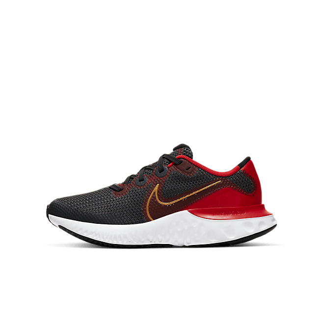 Nike Renew Run CT1430-009