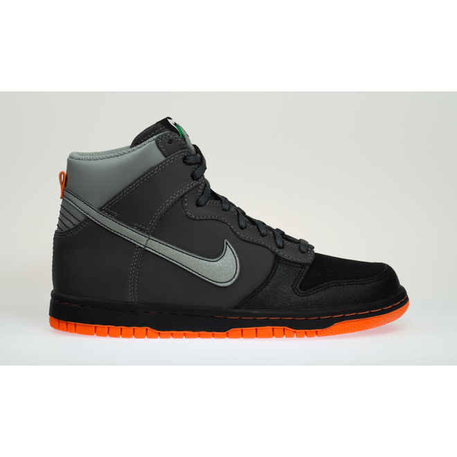 Nike Dunk High (GS) 308319-020