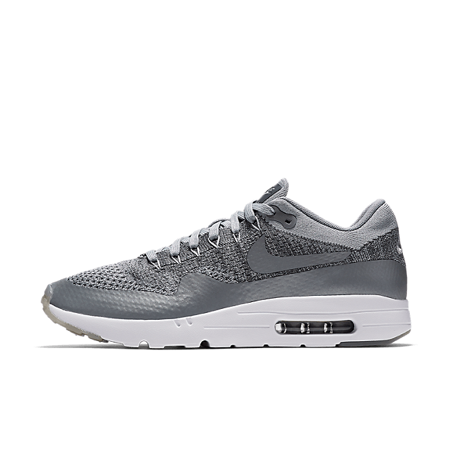 Nike Air Max 1 Ultra Flyknit (Wolf Grey/Dark Grey-White) 843384-001